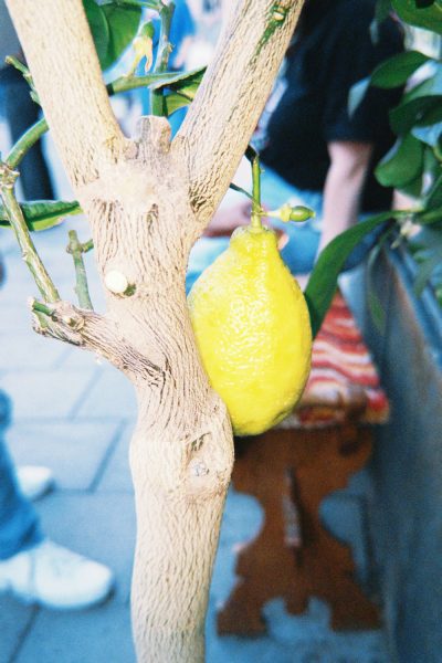 fqs-2024-06-26-192150.979_1